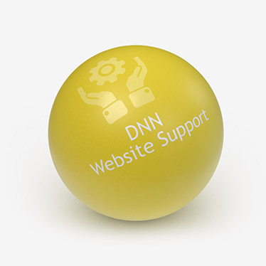 DNN Support by DyNNamite