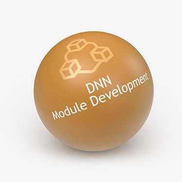 DNN Module Development