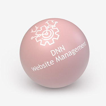 DNN Website Management